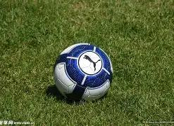 篮球情缘青,春记,WM完美真人官网,WM完美真人视讯,WM完美真人平台,WM完美真人官网,WM完美真人官网app