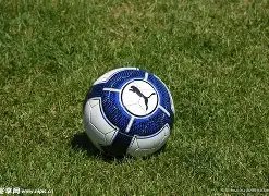 国足世预赛,冲刺沙特战,王大雷坚定,WM完美真人视讯,WM完美真人平台,WM完美真人官网,WM完美真人官网app