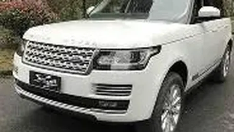 库里：篮球仍是我激情所在，乐趣不减