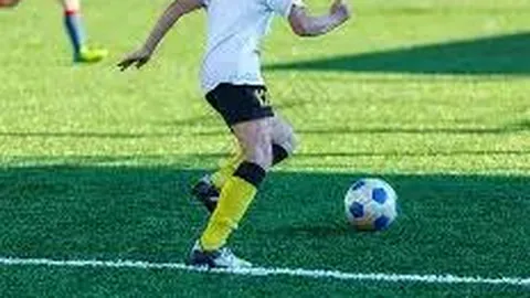 WM完美真人官网 产品 091234 w98