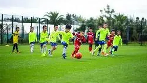 WM完美真人官网 资讯 095850 kdl