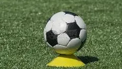 WM完美真人官网 产品 085749 2es