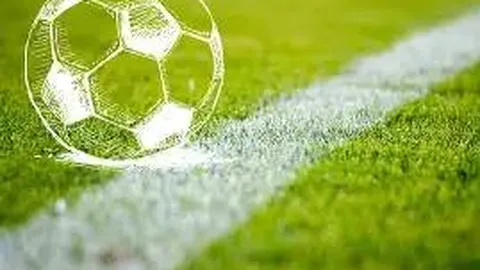 “专家观点：皇萨之利远超不公之害，其抱怨实属无理”