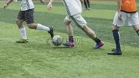 WM完美真人官网 产品 085740 dry