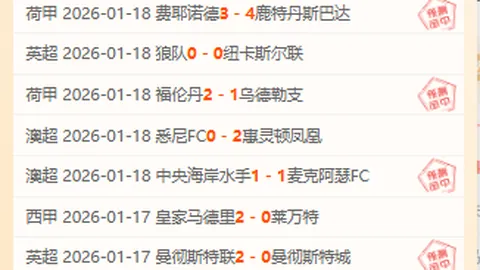 德约科维奇破纪录！